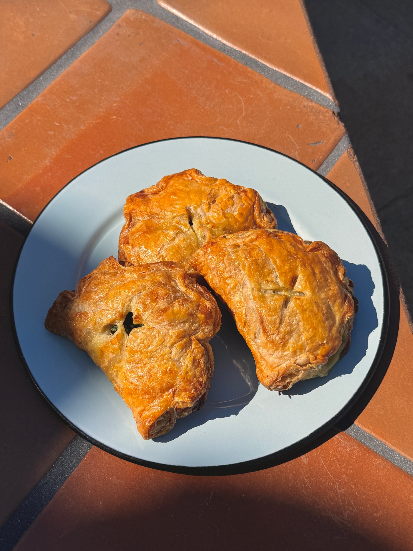 Pascualina Empanadas (4)